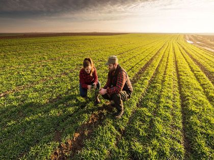 BANDO GIOVANI AGRICOLTORI
