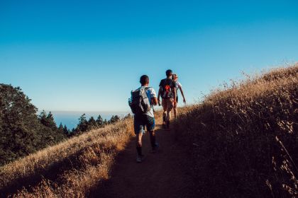 Camminata tra gli olivi 2024 Camminata tra gli olivi 2024